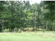 413 Seib Road, North Arm QLD 4561