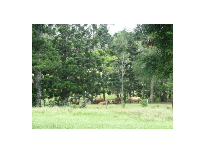 413 Seib Road, North Arm QLD 4561