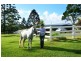 413 Seib Road, North Arm QLD 4561