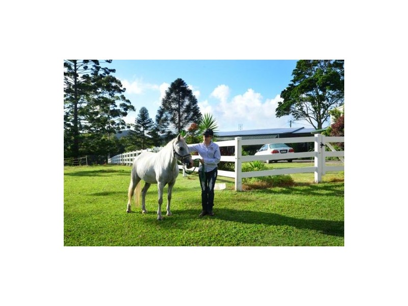 413 Seib Road, North Arm QLD 4561