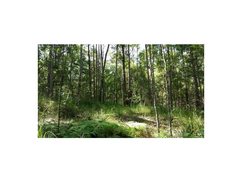167 Chevallum School Road, Chevallum QLD 4555
