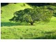 86 Miran Road, Kureelpa QLD 4560