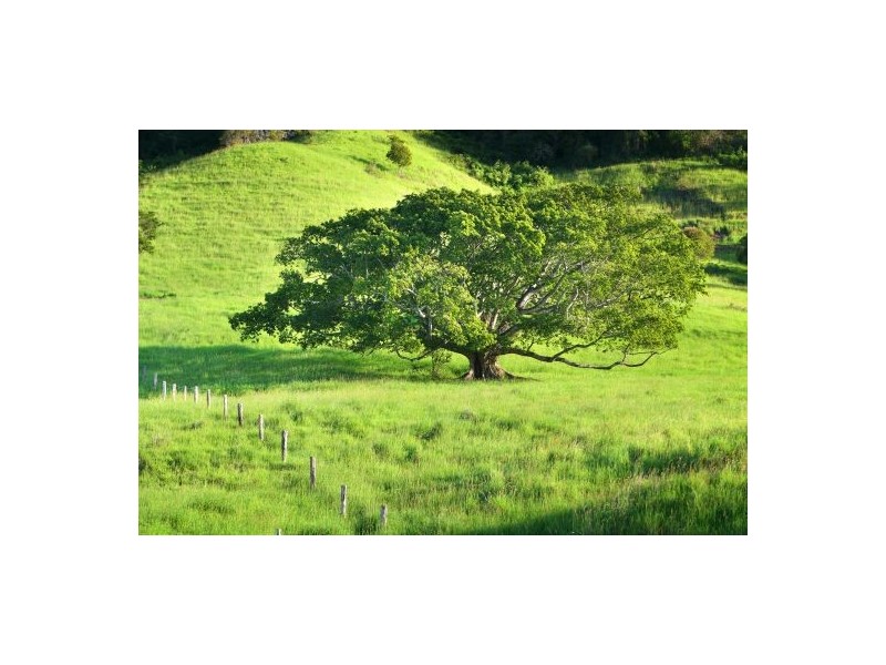 86 Miran Road, Kureelpa QLD 4560