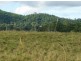 101 Yandina Bli Bli Road, Yandina QLD 4561