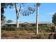 455 Image Flat Road, Image Flat QLD 4560