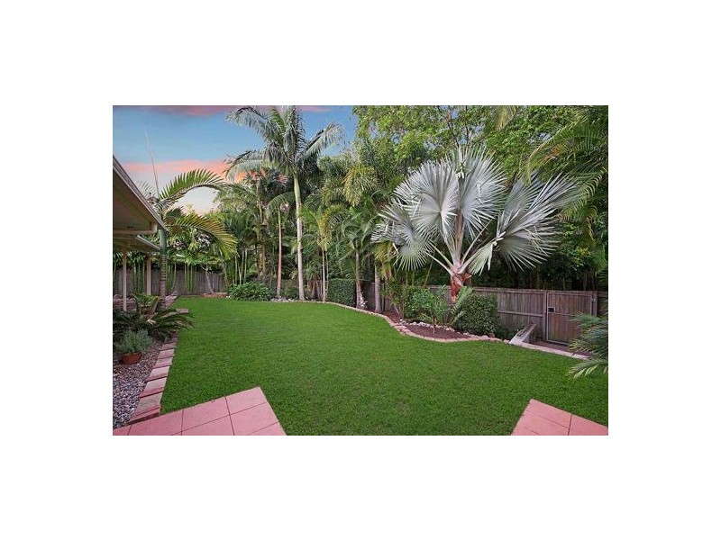 8 Neroli Street, Palmwoods QLD 4555