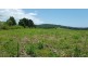 209 Bli Bli Road, Bli Bli QLD 4560
