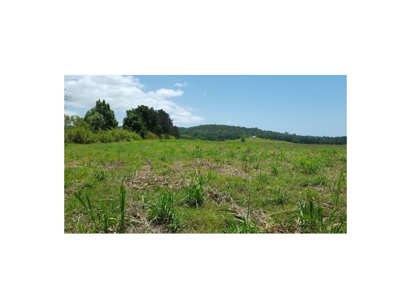 209 Bli Bli Road, Bli Bli QLD 4560