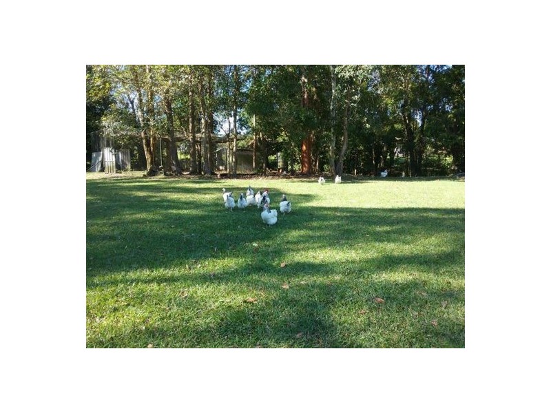 55 Shamley Heath Road, Kureelpa QLD 4560