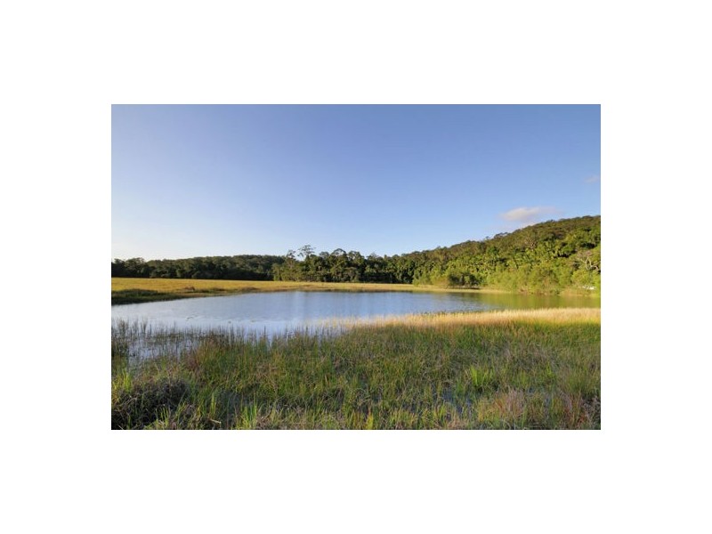 54 Fig Tree Lane, Yandina Creek QLD 4561