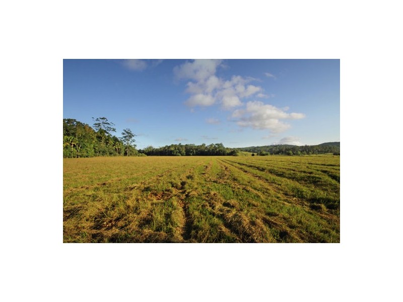 54 Fig Tree Lane, Yandina Creek QLD 4561