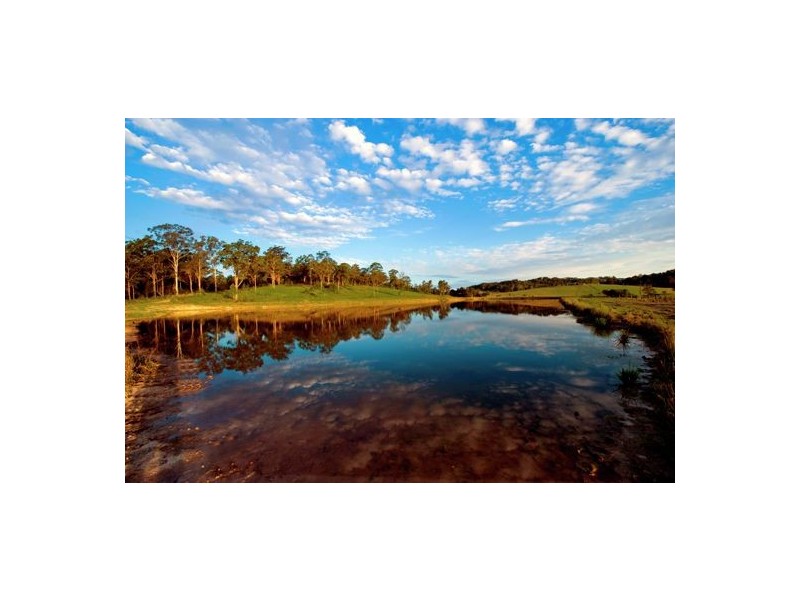 54 Fig Tree Lane, Yandina Creek QLD 4561