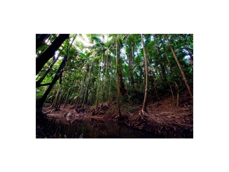 54 Fig Tree Lane, Yandina Creek QLD 4561