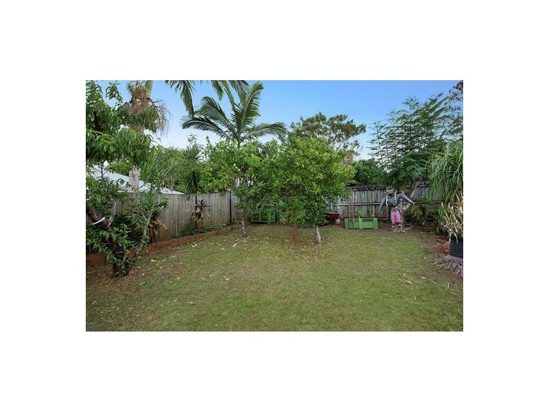 19 Jane Street, Palmwoods QLD 4555