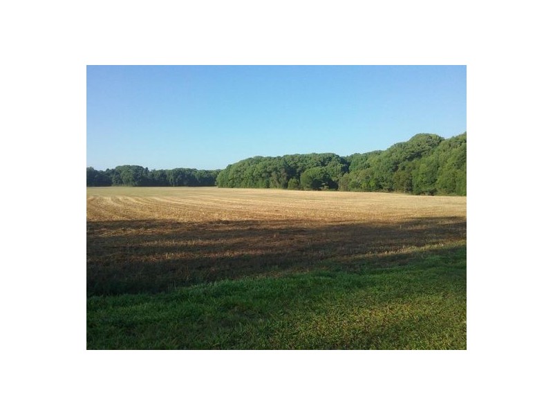 74 North Arm – Yandina Creek Road, North Arm QLD 4561