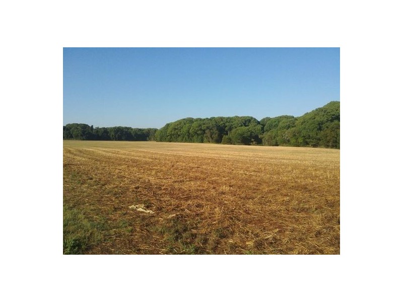 74 North Arm – Yandina Creek Road, North Arm QLD 4561