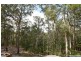 Mooloolah Valley QLD 4553