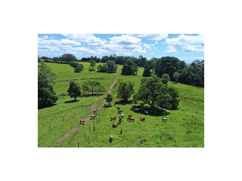 919 Landsborough-Maleny Rd, Maleny QLD 4552