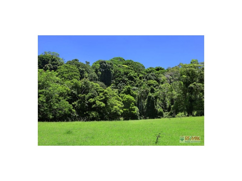 919 Landsborough-Maleny Rd, Maleny QLD 4552