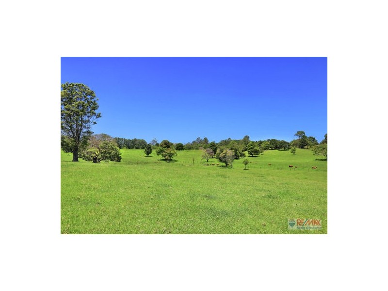 919 Landsborough-Maleny Rd, Maleny QLD 4552