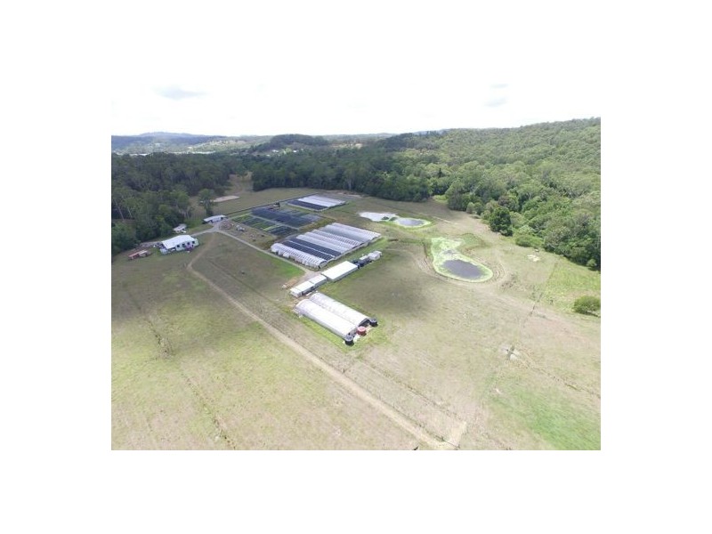 202 North Arm Road, North Arm QLD 4561