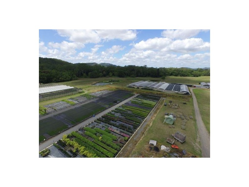 202 North Arm Road, North Arm QLD 4561