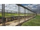 202 North Arm Road, North Arm QLD 4561