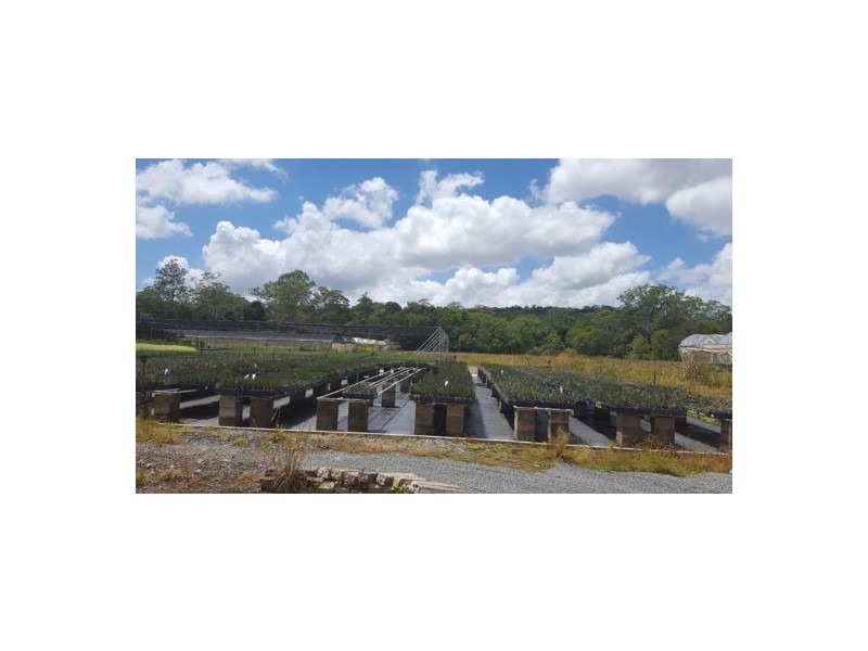 202 North Arm Road, North Arm QLD 4561