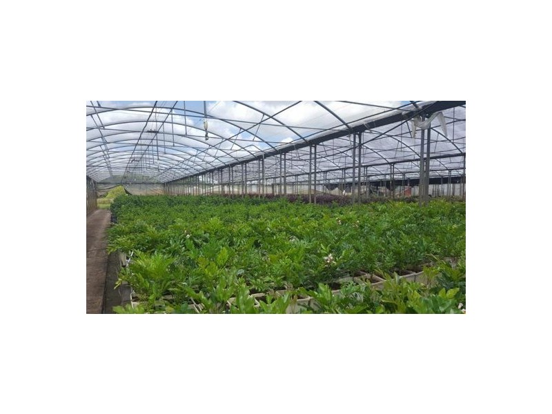 202 North Arm Road, North Arm QLD 4561