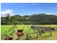 150 Grigor Road, Conondale QLD 4552