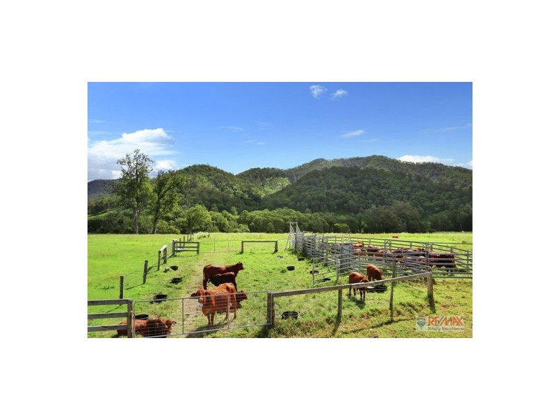 150 Grigor Road, Conondale QLD 4552