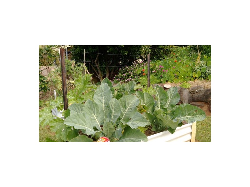 18 Samantha Drive, Bli Bli QLD 4560