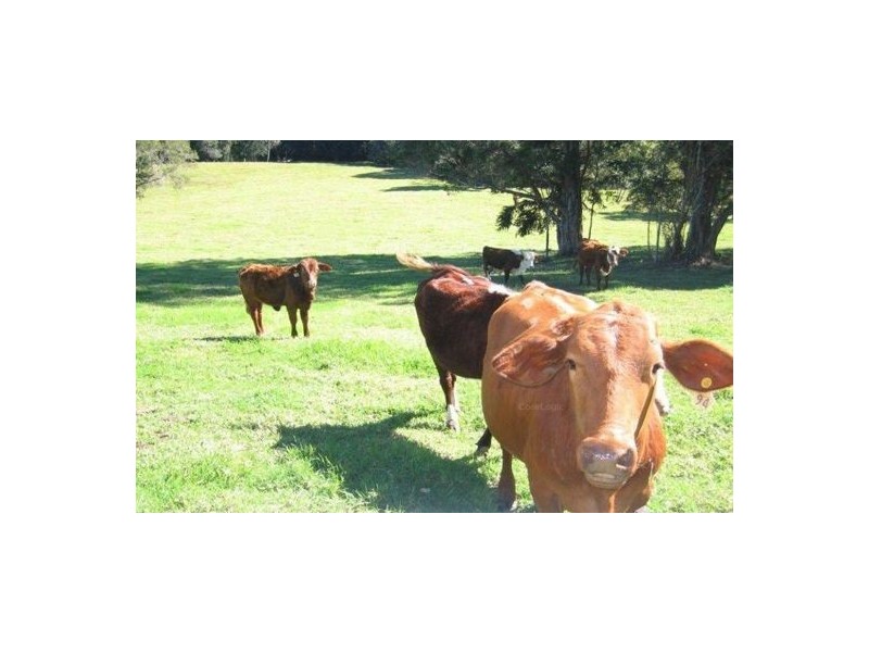 170 Dulong School Rd, Dulong QLD 4560