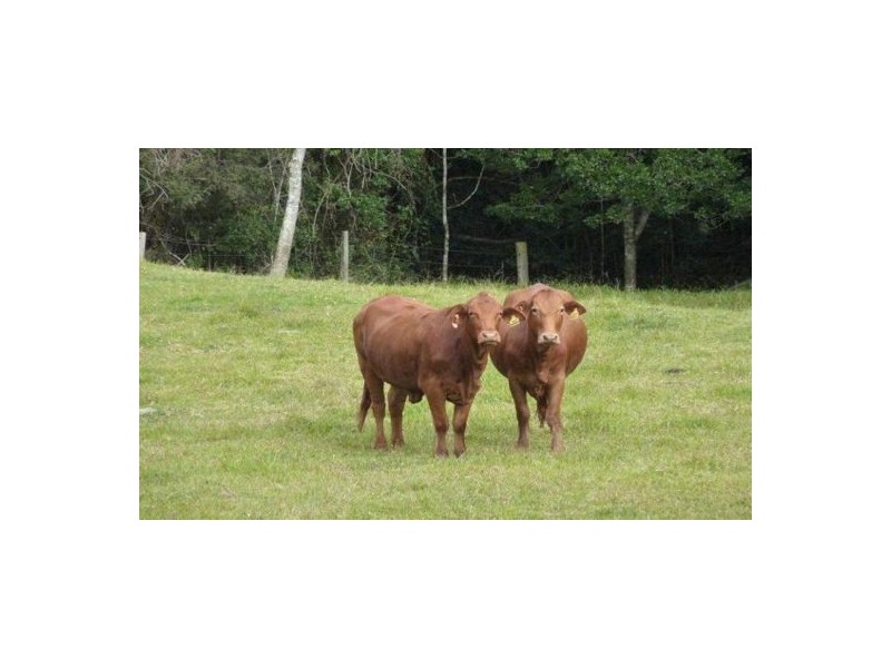 170 Dulong School Rd, Dulong QLD 4560