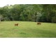 170 Dulong School Rd, Dulong QLD 4560
