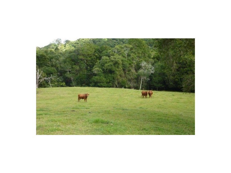 170 Dulong School Rd, Dulong QLD 4560