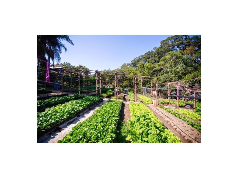 46 Chevallum Road, Palmwoods QLD 4555