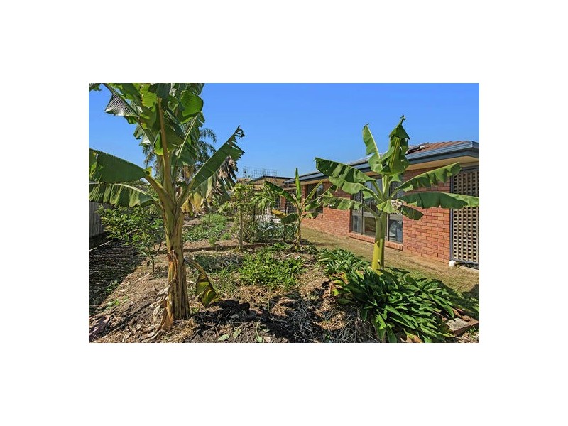 7 Morobe Crescent, Bli Bli QLD 4560