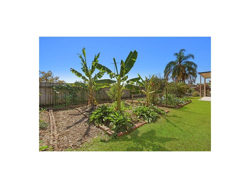 7 Morobe Crescent, Bli Bli QLD 4560