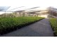 67 Groves Road, Bungundarra QLD 4703