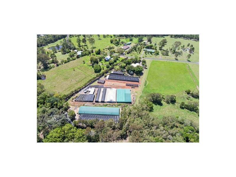 38 Dandaloo Drive, Cootharaba QLD 4565