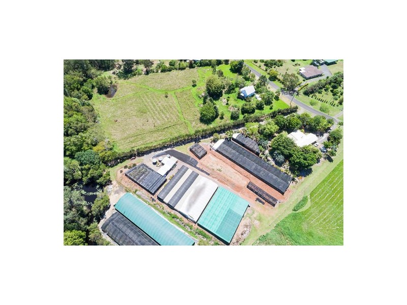 38 Dandaloo Drive, Cootharaba QLD 4565