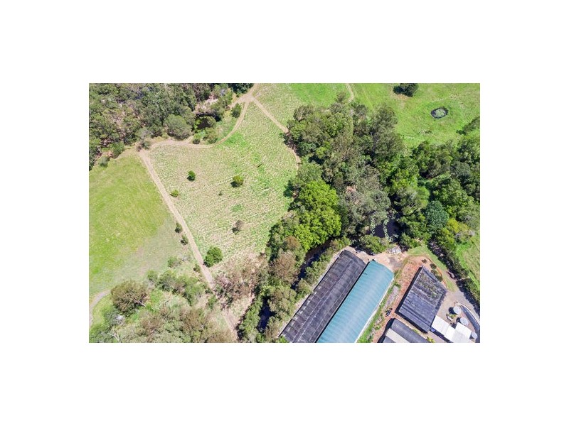 38 Dandaloo Drive, Cootharaba QLD 4565