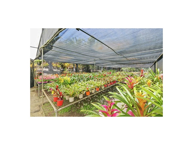 38 Dandaloo Drive, Cootharaba QLD 4565