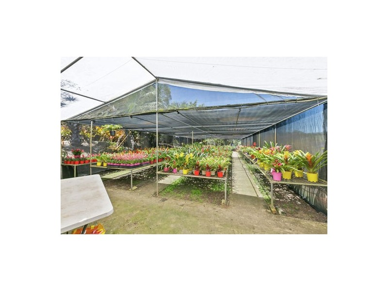 38 Dandaloo Drive, Cootharaba QLD 4565