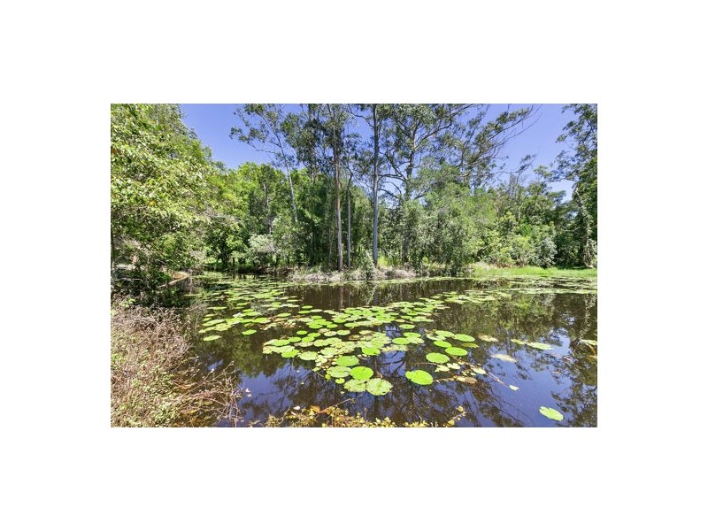 38 Dandaloo Drive, Cootharaba QLD 4565