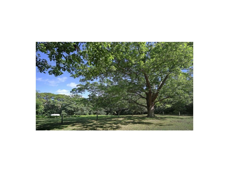 922 Maleny-Montville Road, Balmoral Ridge QLD 4552