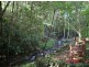 62 Alice Dixon Drive, Flaxton QLD 4560