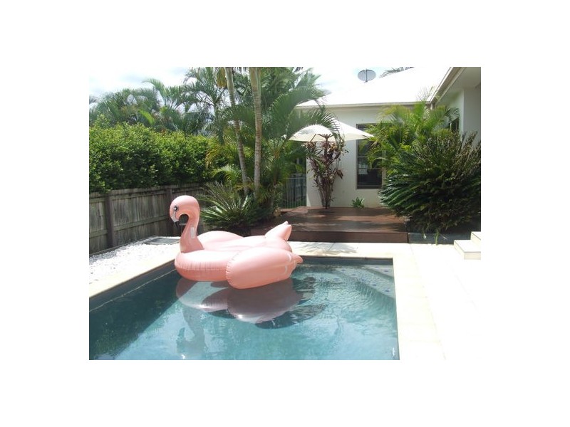 6 Crows Ash Court, Palmwoods QLD 4555