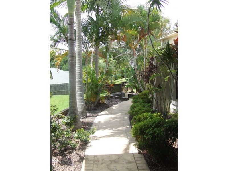 6 Crows Ash Court, Palmwoods QLD 4555
